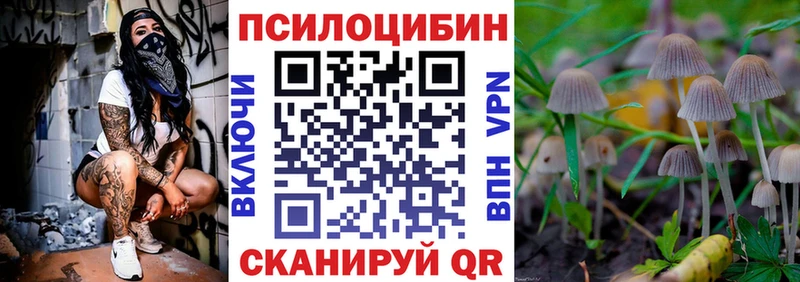 Галлюциногенные грибы MAGIC MUSHROOMS  закладка  Армавир 